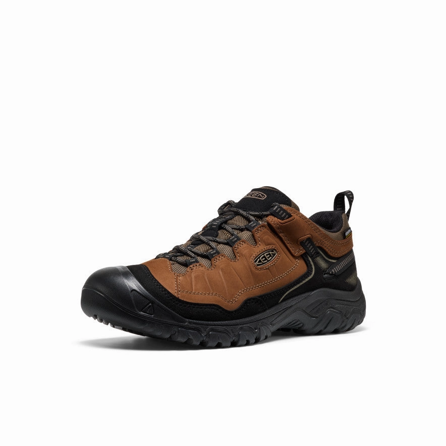 Men's Targhee IV Waterproof Hiking Shoe  |  Bison/Black style - level