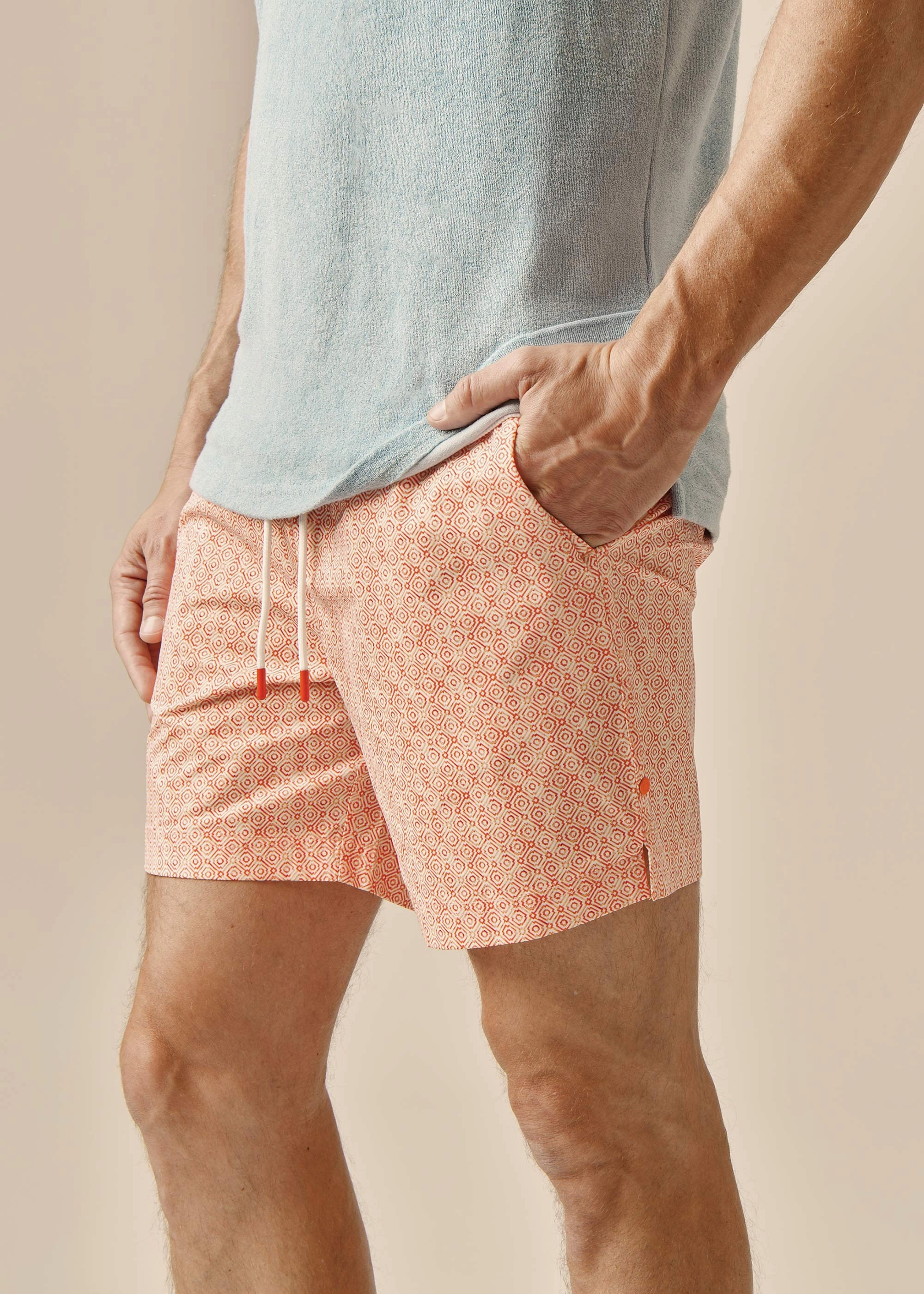 Sheer Panel Sol Swim Short (6 ??? Inseam)