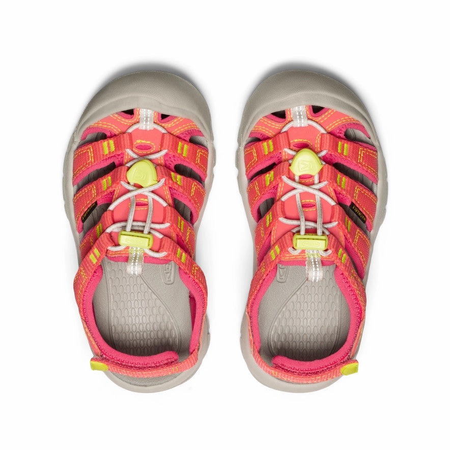 Little Kids' Newport Boundless Sandal  |  Dubarry/Evening Primrose Effortless Walk