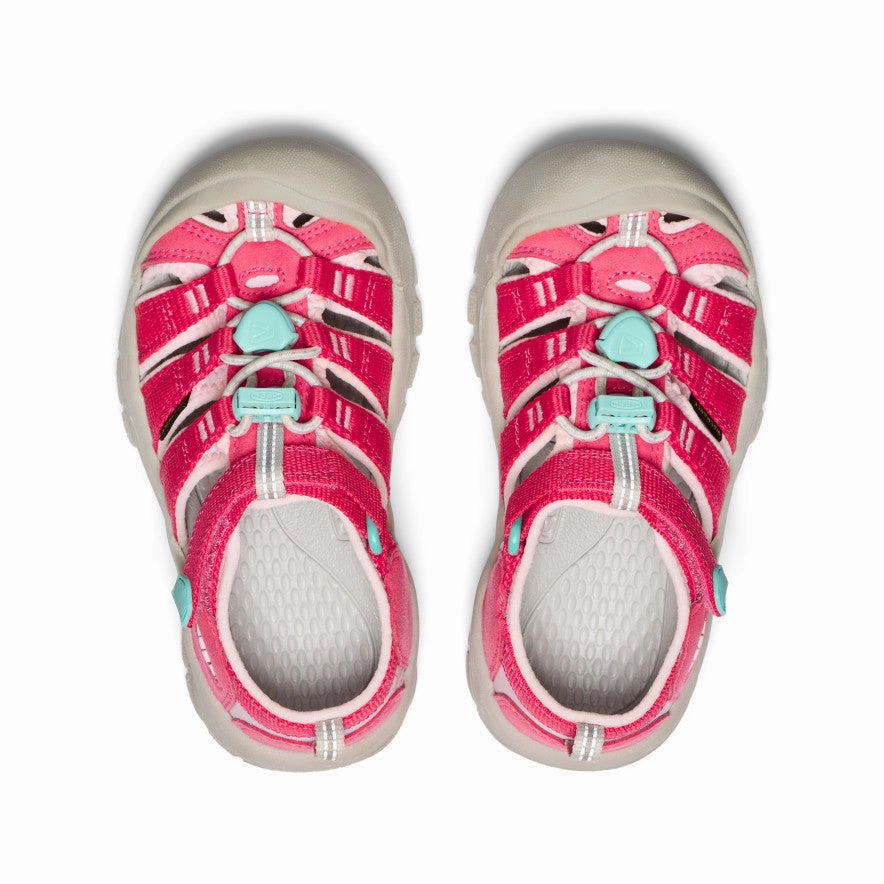 Sports Wear Little Kids' Newport H2  |  Raspberry/Giggle Pink