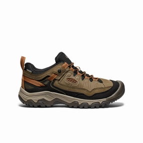 Anti Fatigue Insoles Men's Targhee IV Waterproof Hiking Shoe  |  Sea Turtle/Roasted Pecan